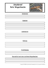 Rote-Wegschnecke-Steckbriefvorlage.pdf